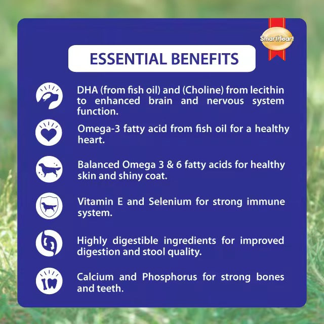 Smart Heart Dog Can Lamb 400g