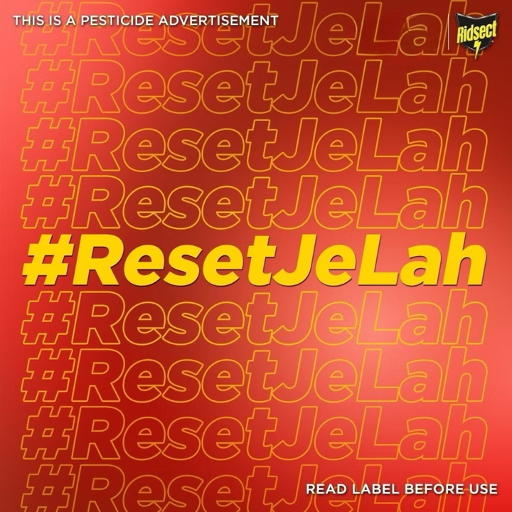 Ridsect Liquid Pine scented Heater 60N 60 nights/ 44 ml