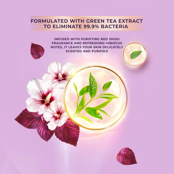 Lux Liquid Body Wash Red Shiso Refill 800ml