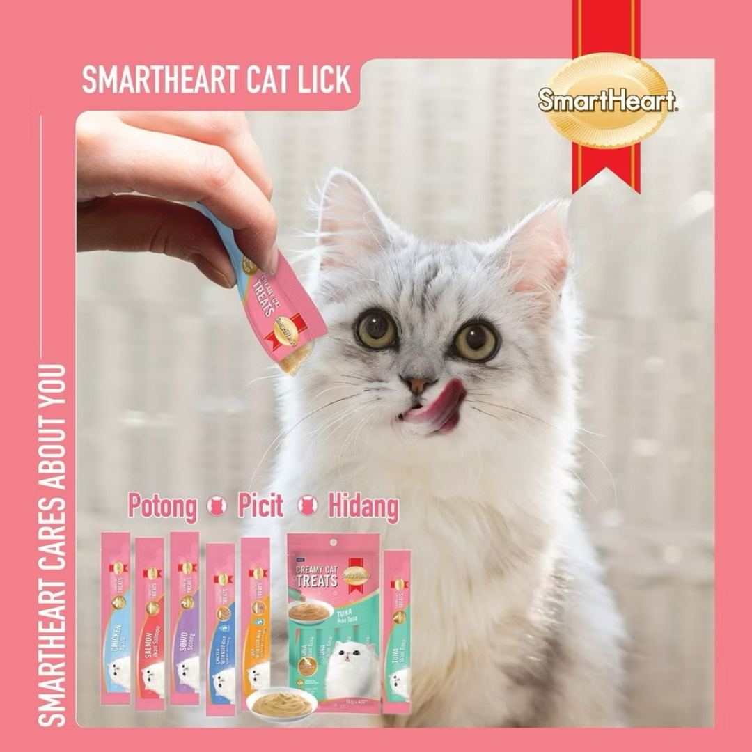 Smart Heart Cat Creamy Treats Squid 15g X 4